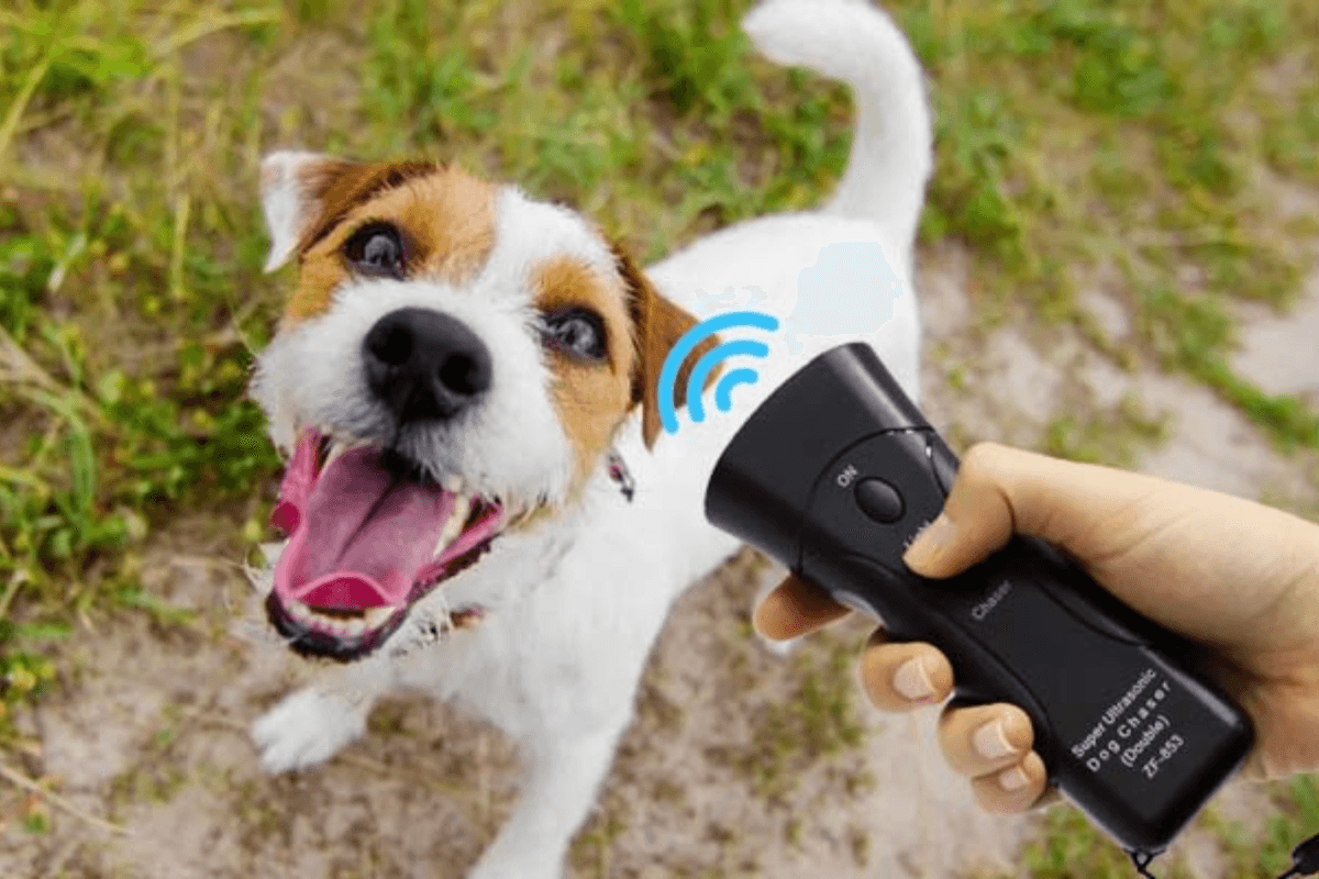 BarxBuddy-Bring This Out For Walks To Protect Your Pup From Aggressive Dogs