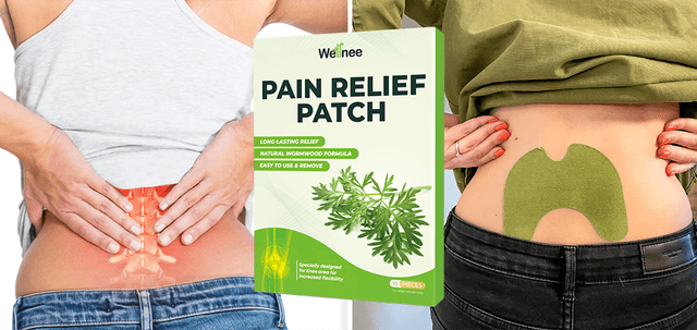 Wellnee-A Natural Solution To Reduce Swelling and Inflammation