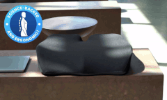 Coushy-This Gives You Extreme Comfort For Back Pain