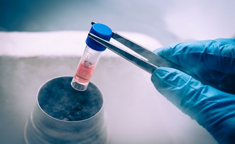 Stem Cell Solution-Your Body Isn’t Broken, It’s Just Asleep. This ‘Stem Cell Switch’ Wakes It Up