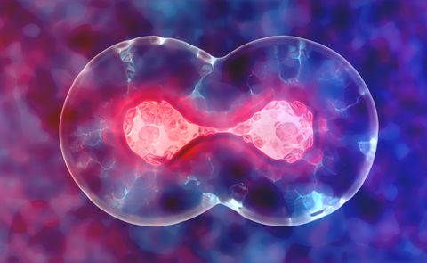 Cellular Regeneration-New science reveals the body may still repair itself - if you support this one function