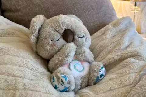 Koala Calm Buddy-Comforts Both Children and Adults To Give You A Good Night's Sleep