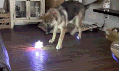 Petsboro-Indestructible Smart Ball Keeps Your Dog Happy And Entertained