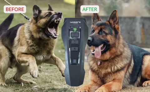 NoBark-Bring This Out For Walks To Protect Your Pup From Aggressive Dogs