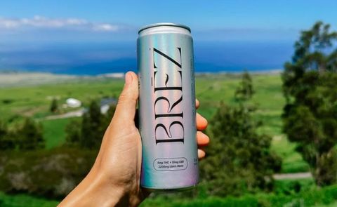 BREZ-Take This To Your Next Party